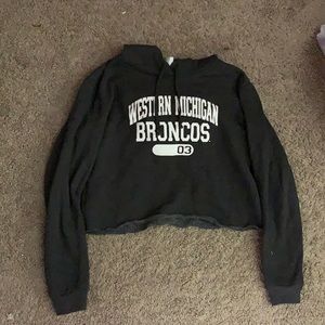 Cropped hoodie- western Michigan